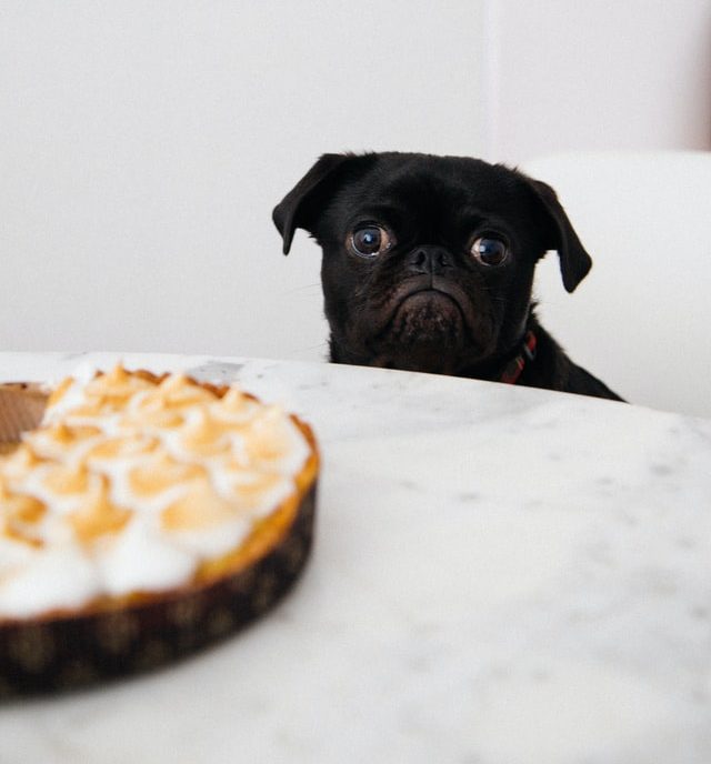 Create a Healthy Relationship with Food: 8 Signs You're in an Unhealthy Relationship